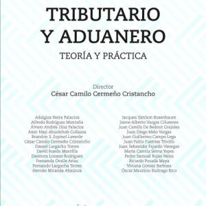 DERECHO PENAL TRIBUTARIO Y ADUANERO – TEORÍA Y PRÁCTICA